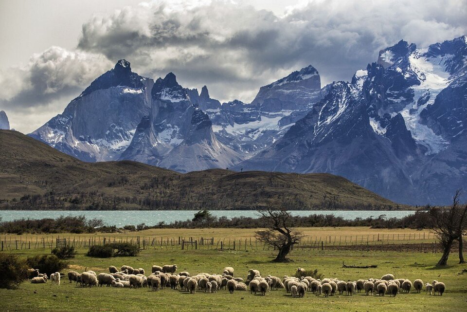Awasi Patagonia, photo 7