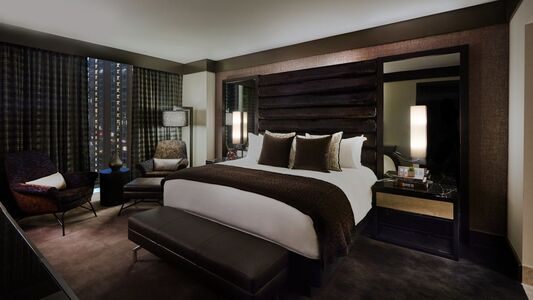 Loews Chicago Hotel, photo 5