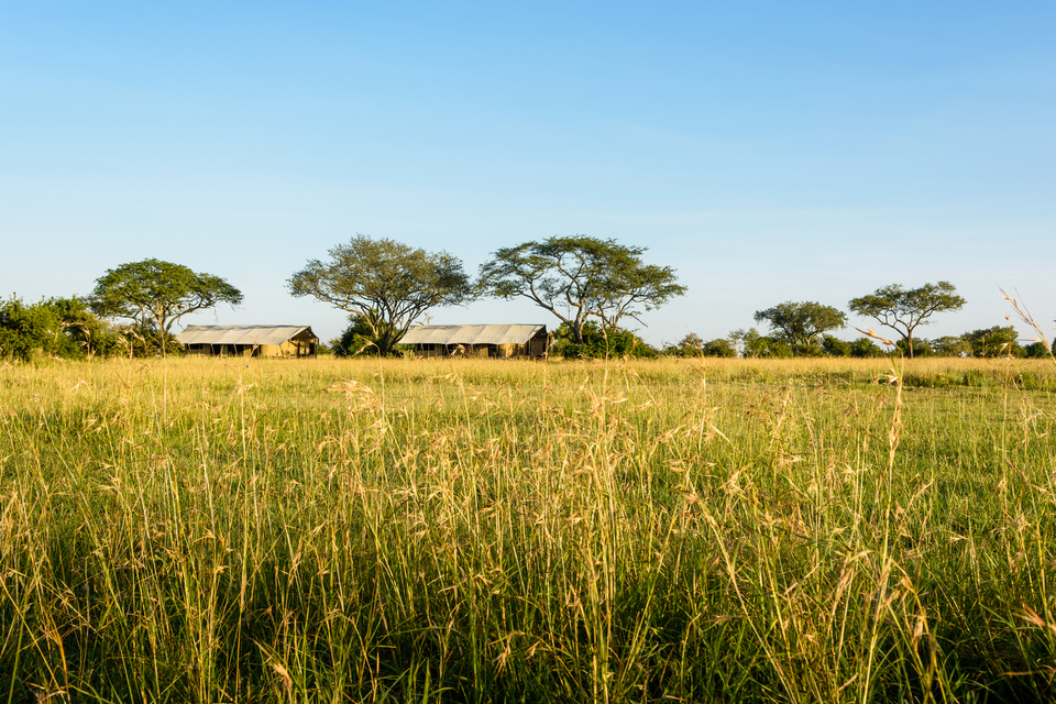 Singita Grumeti, photo 1
