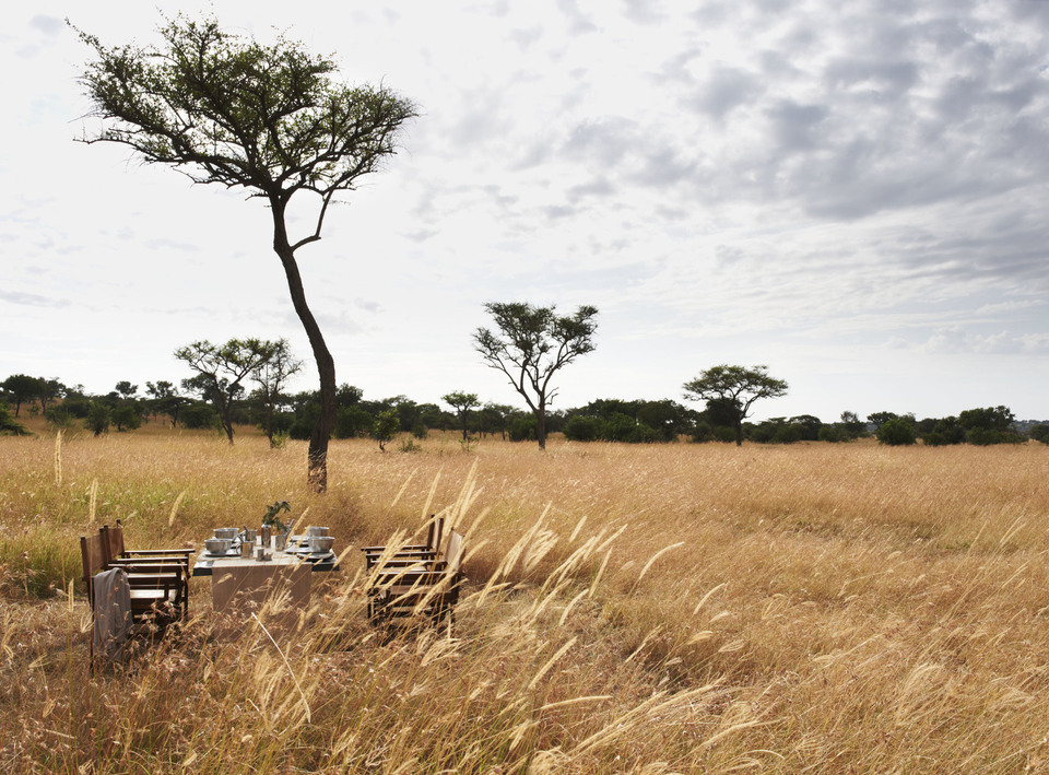 Singita Grumeti, photo 7