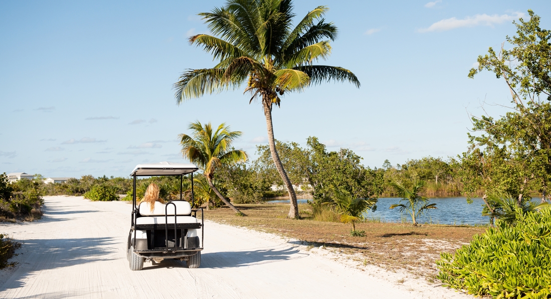 Pine Cay, photo 7