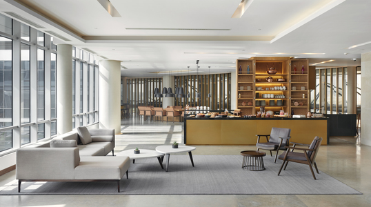 Andaz Delhi, photo 4
