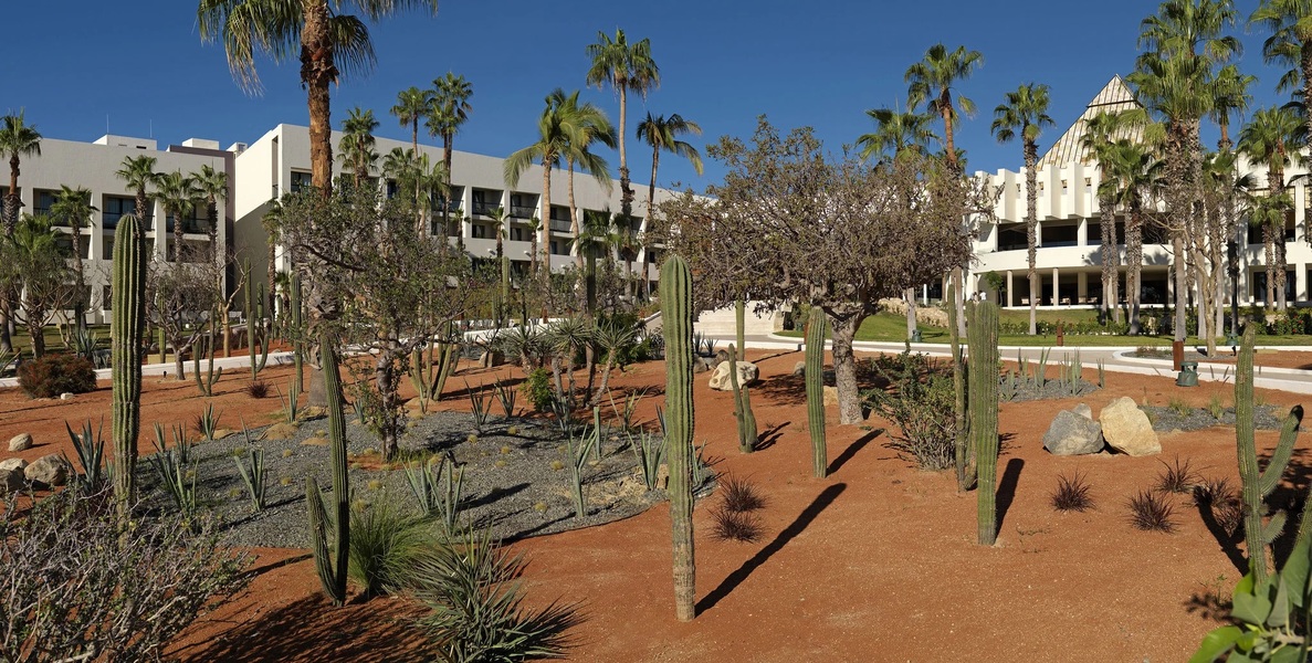 Paradisus Los Cabos - Adults Only, photo 7