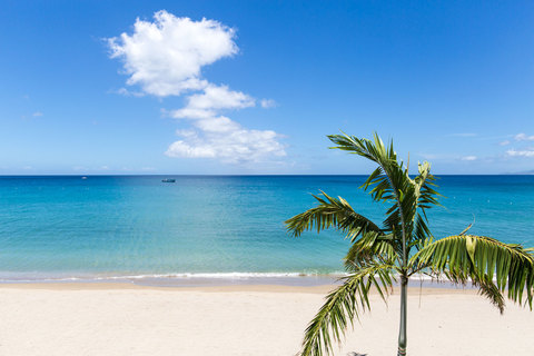 Paradise Beach Nevis, photo 5