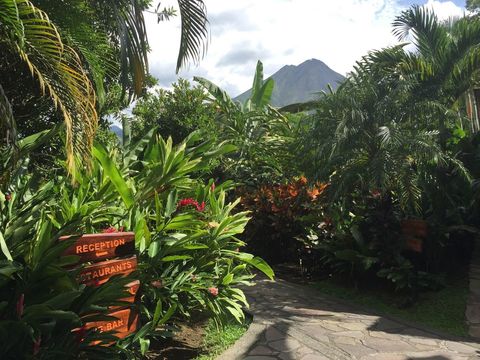 Nayara Springs, photo 3