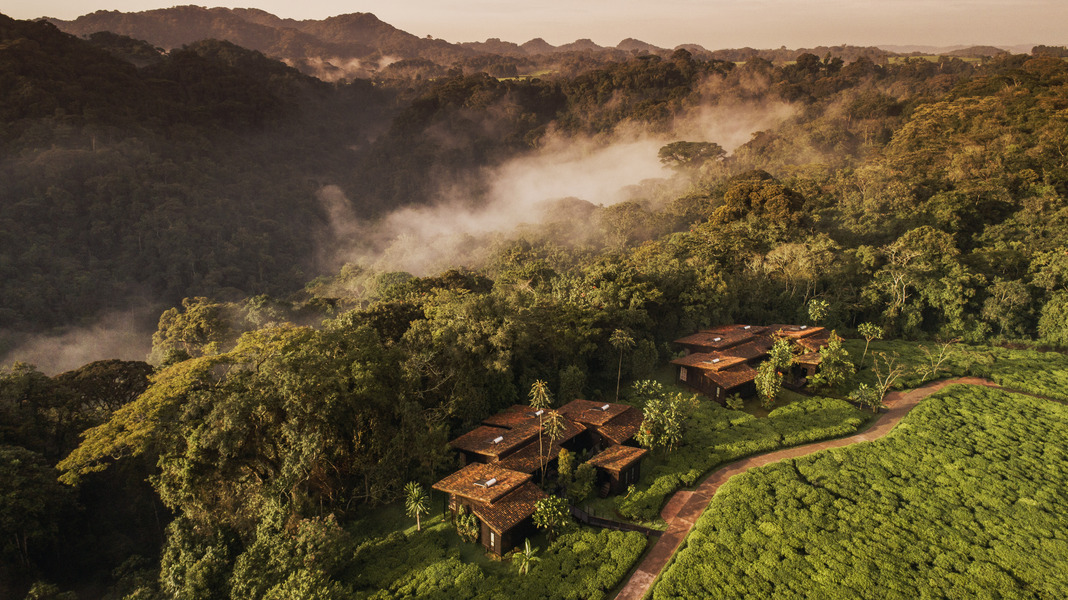 One&Only Nyungwe House, photo 1