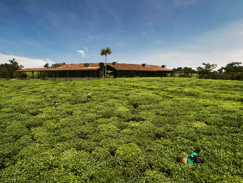 One&Only Nyungwe House, photo 2
