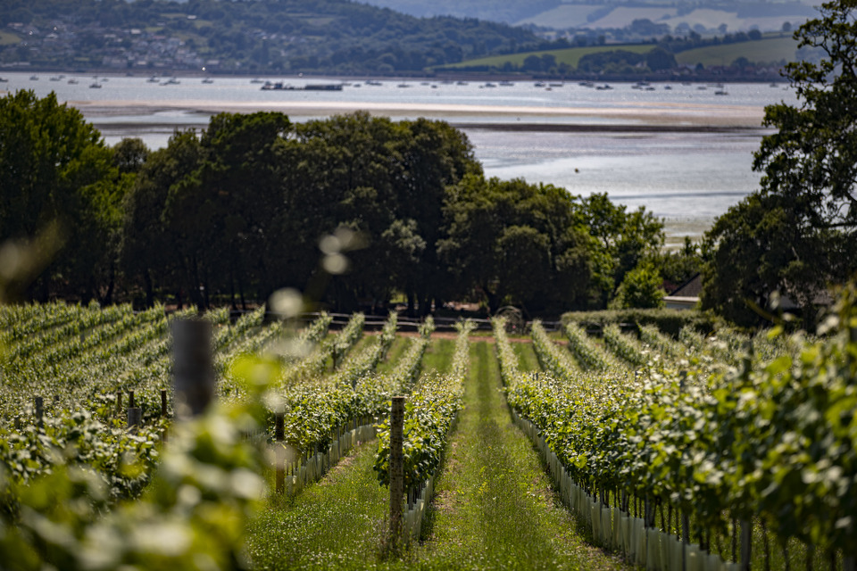 Lympstone Manor Hotel, Restaurant and Vineyard, Devon, photo 2