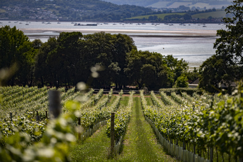 Lympstone Manor Hotel, Restaurant and Vineyard, Devon, photo 2