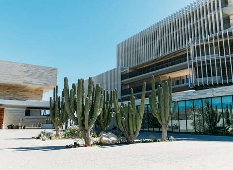 Solaz, a Luxury Collection Resort, Los Cabos, photo 2