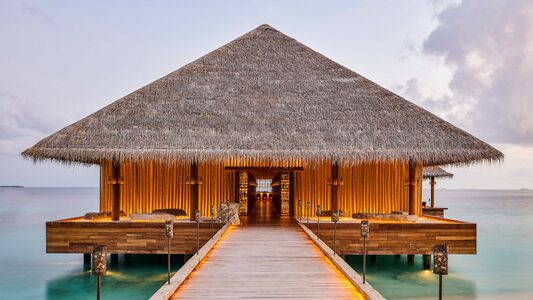 Joali Maldives, photo 4