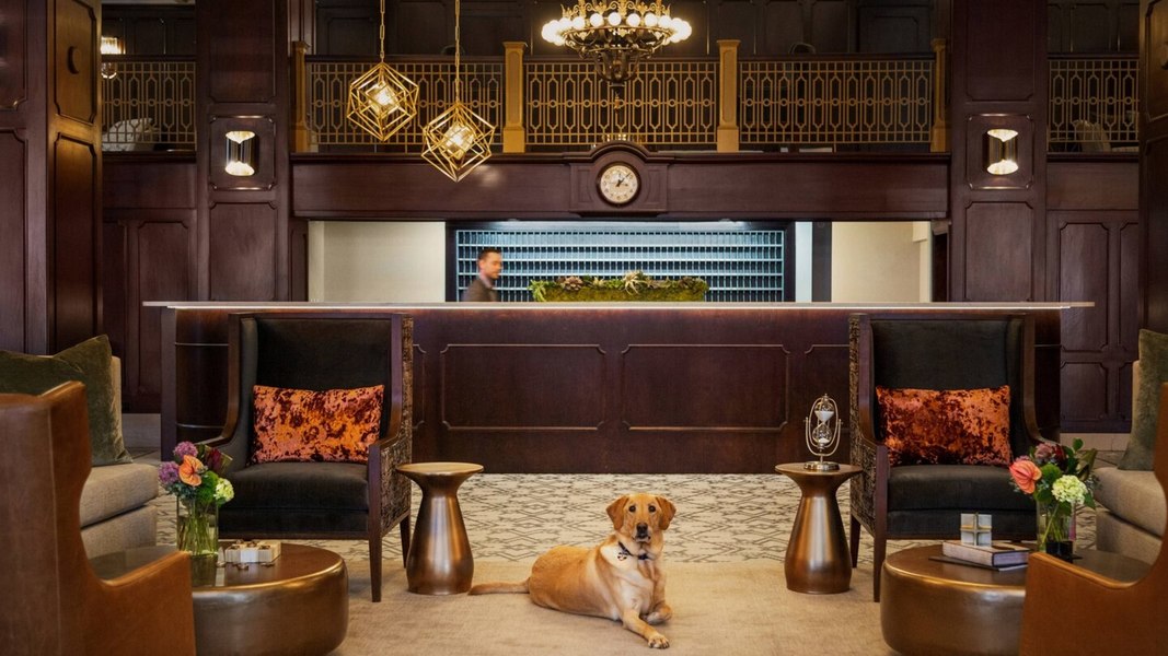 Hotel Northland, photo 8