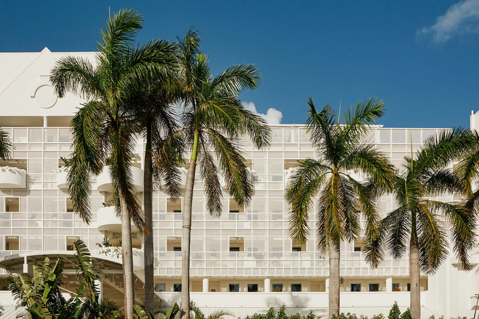 Palm Heights, photo 8