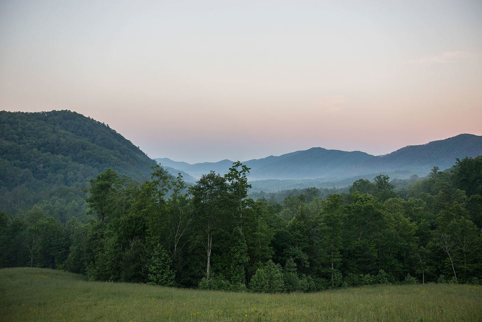 Blackberry Mountain, photo 8