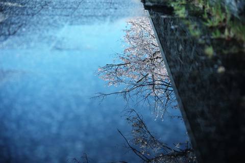 Park Hyatt Kyoto, photo 5
