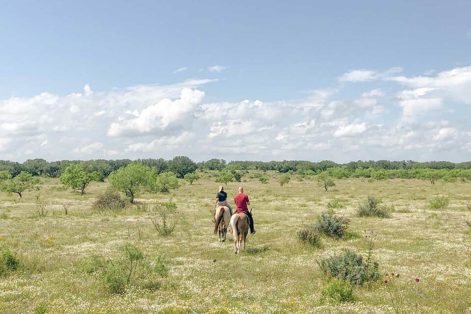 The JL Bar Ranch Resort & Spa, photo 9
