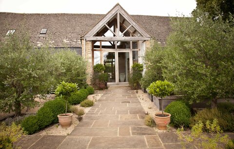 Thyme, photo 2