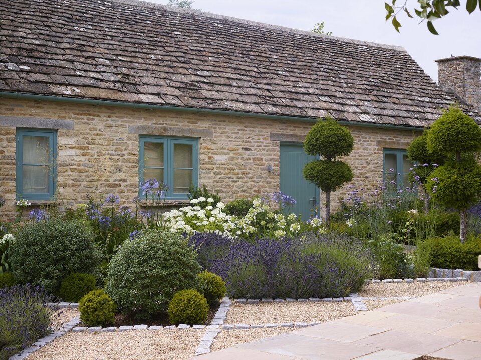 Thyme, photo 3