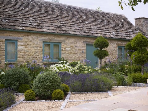 Thyme, photo 3