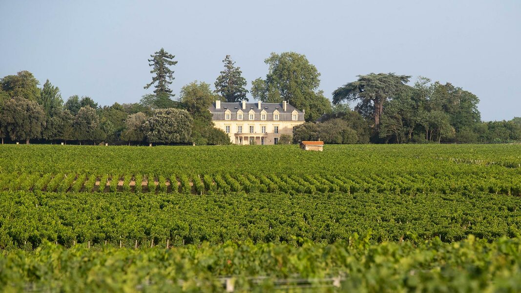 La Maison D'Estournel, photo 6