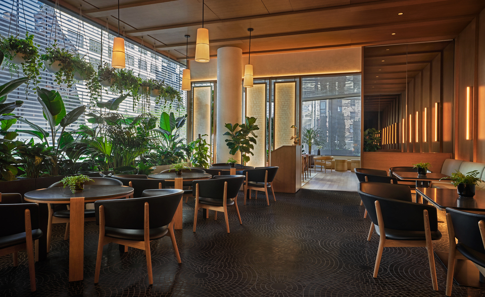 Pendry Manhattan West, photo 6