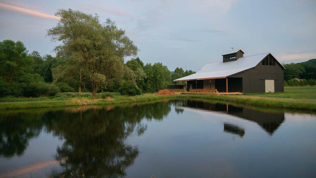 Callicoon Hills, photo 4