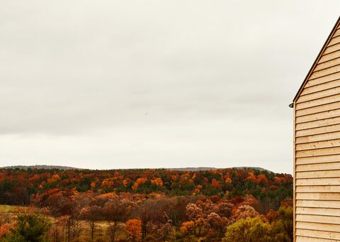 Inness, photo 2