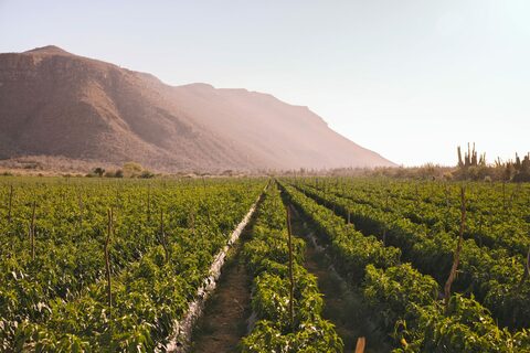 Paradero Todos Santos, photo 4