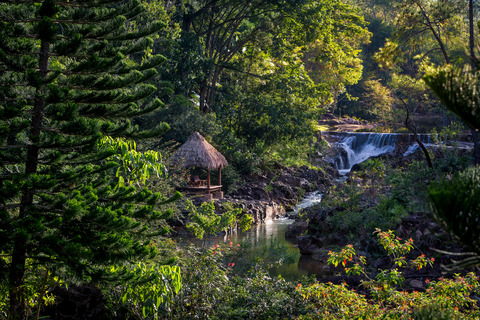 Blancaneaux Lodge, photo 4
