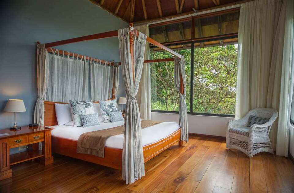 Royal Palm Galapagos, photo 6