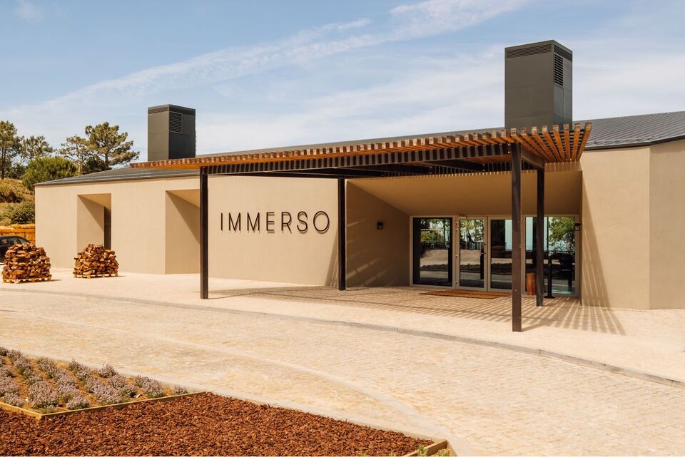 Immerso Hotel, photo 1