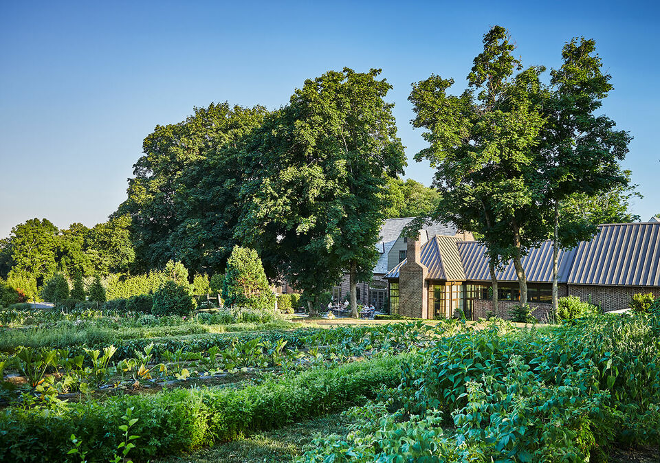 Pendry Natirar, photo 2