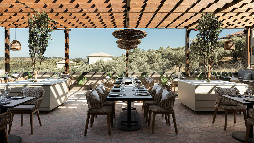 King Jason Zante Designed For Adults, photo 6