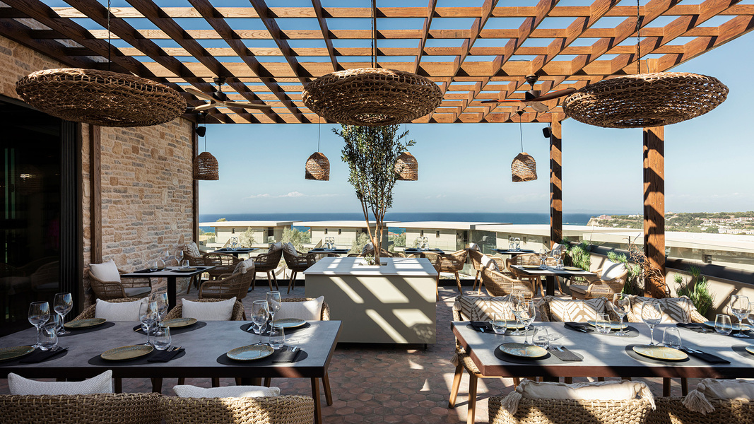 King Jason Zante Designed For Adults, photo 7