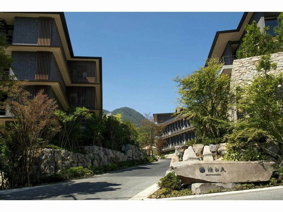 Hakone Gora Karaku, photo 6